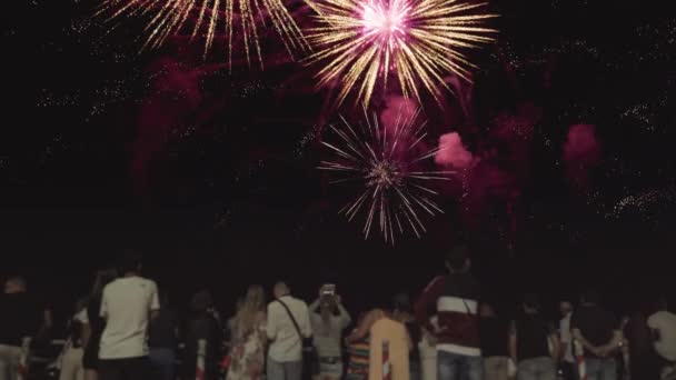 Gente Guarda Bellissimi Fuochi Artificio Notte — Video Stock