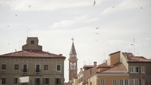 Gaivotas Voam Frente Uma Antiga Cidade Chamada Chioggia Lagoa Veneza — Vídeo de Stock