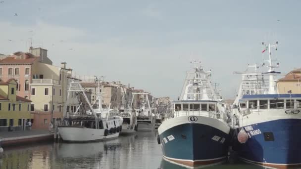 Srpen 2022 Mnoho Rybářských Lodí Kotvících Starověkém Kanálu Chioggia — Stock video