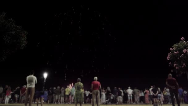 People Watch Sky Lit Fireworks — Stock video