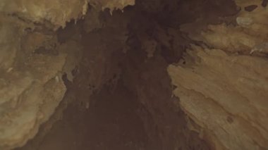 Shot inside an old tree. The shape makes it seem to be inside a cave or mountain rocks.