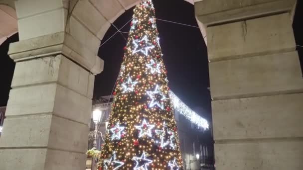 Large Christmas Tree Located City Center Illuminated Lights Shines Evening — Stockvideo