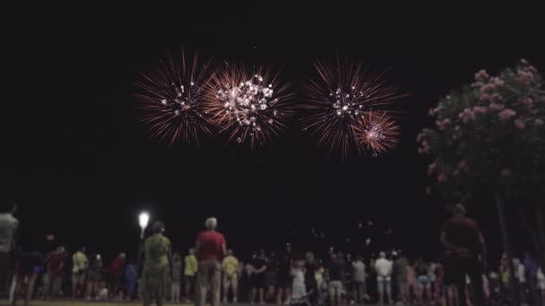 Fireworks Explosion People Viewing Evening — Video Stock