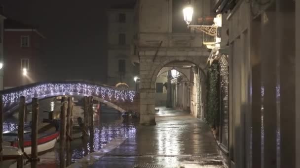 Calle Shore Vena Wet Evening Rain Reflects Evening Lights Empty — Stockvideo