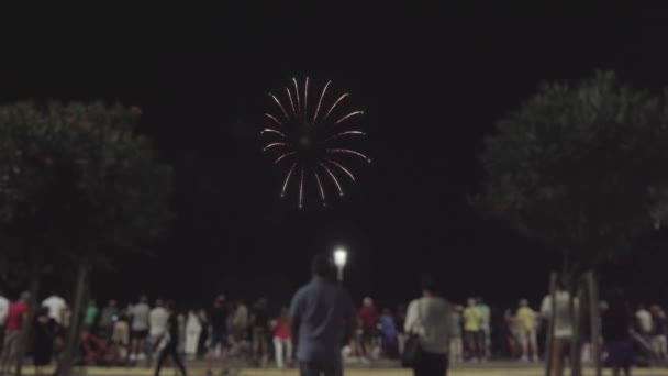 Sky Venetian Lagoon Illuminated Fireworks — Stockvideo