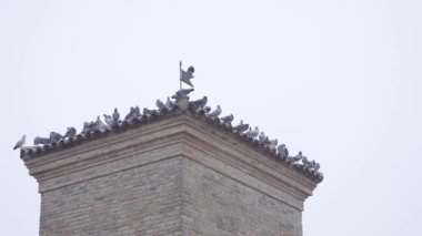 Many doves sitting on the roof of an old building