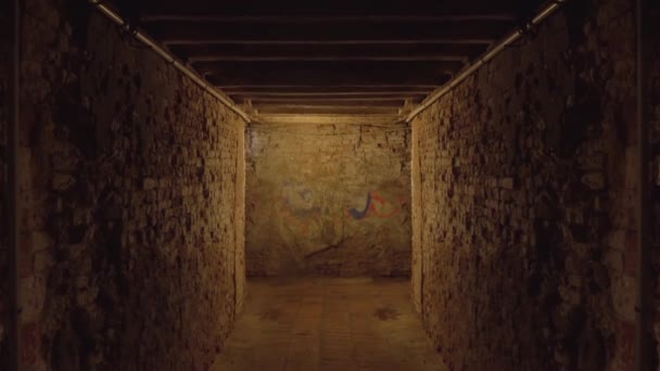 Dark Tunnel Brick Walls Wooden Ceiling — Stok video