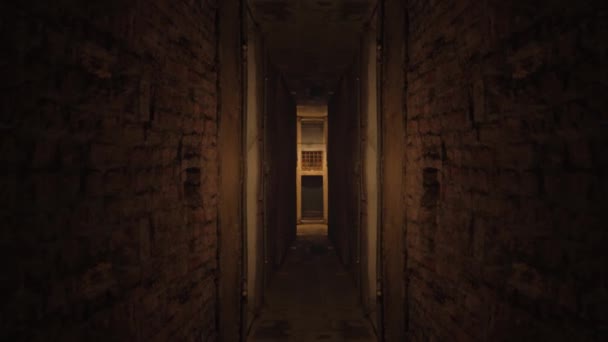 Σκοτεινό Στενό Τούνελ Νύχτα Ανάμεσα Τοίχους Από Τούβλα — Αρχείο Βίντεο