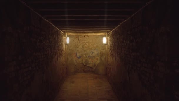 Tunnel Brick Walls Illuminated Lamps — Video Stock