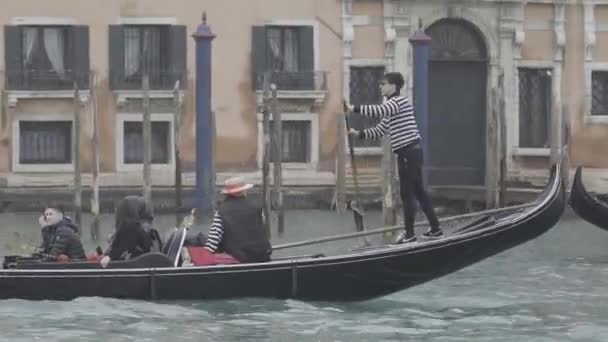 Venecia Italia Febrero 2023 Gondolier Camisa Rayas Lleva Los Turistas — Vídeo de stock