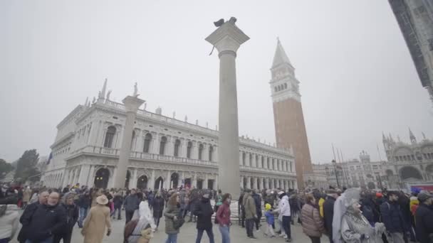 Velence Olaszország 2023 Február Tömeg Piazza San Marco Télen Ködben — Stock videók