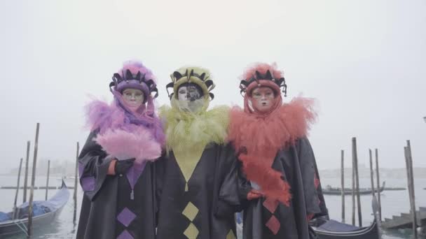 Venedig Italien Februar 2023 Drei Karnevalclowns Vor Der Lagune — Stockvideo
