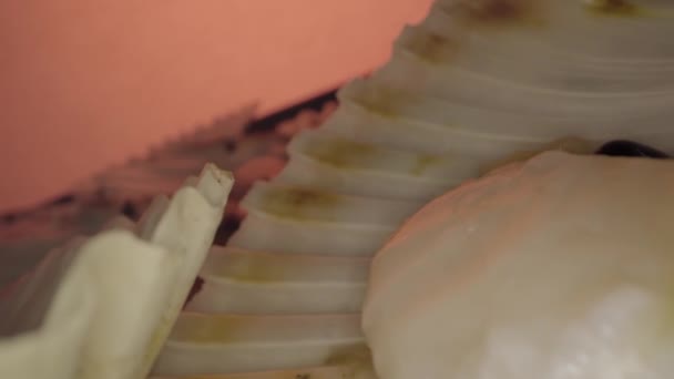 Raw Scallop Its Shell Ready Put Oven — Stock Video