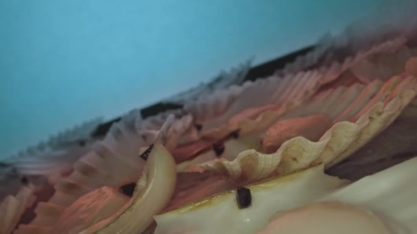 Вкусные Сырые Гребешки Внутри Раковин Духовке — стоковое видео