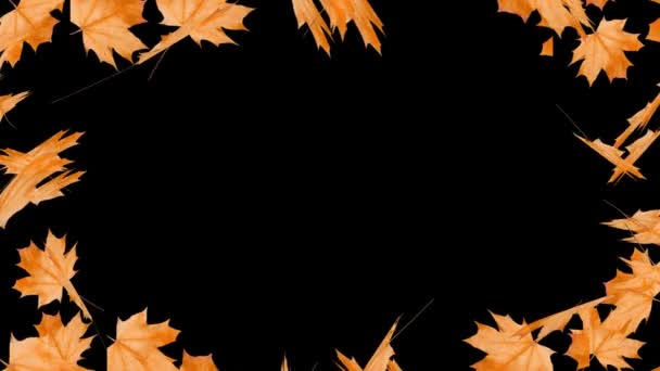 Осенние Листья Отодвигаются Сторону Черного Фона — стоковое видео