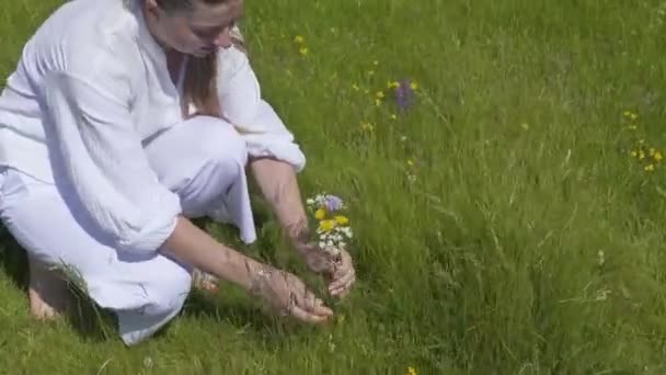 Mujer Joven Sentada Entre Hierba Verde Recoge Flores Colores — Vídeos de Stock
