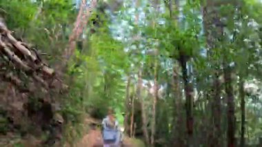 Yeşil bir ormanda yürüyen bir kadın, çok hızlı ilerliyor..