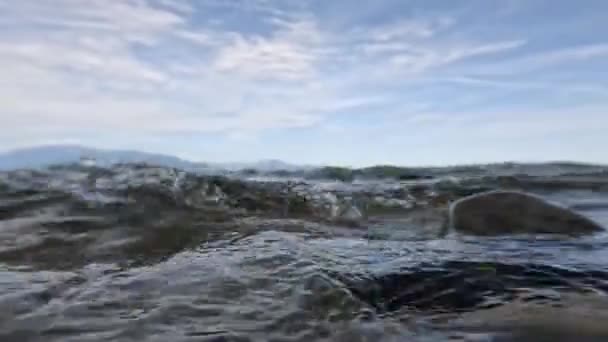 호수에서 파도가 — 비디오