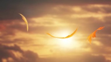 Akçaağaç yaprakları günbatımı kırmızı gökyüzünün arka planına düşer.