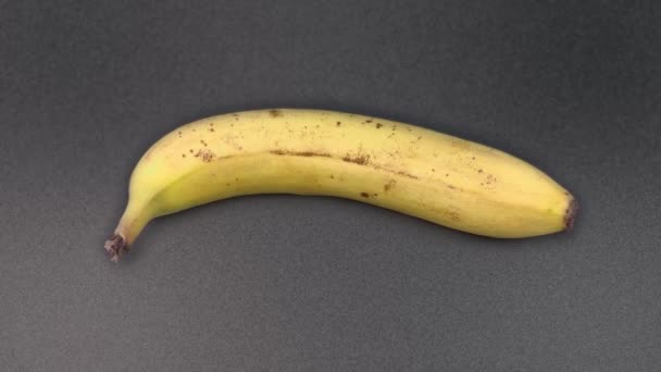 Желтый Банан Быстро Становится Гнилым Прошла Неделя — стоковое видео