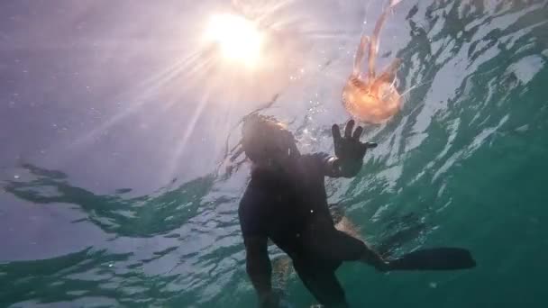 Une Personne Sous Marine Observe Des Méduses Illuminées Par Les — Video