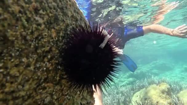 Nsan Altında Selfie Çeker Kayada Deniz Kestanesi Asılı — Stok video