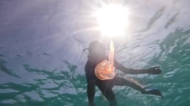 Man Snorkeling Observes Jellyfish Him Underwater — Stock Video
