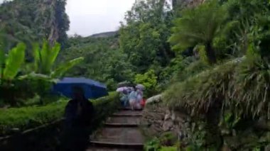 15 Ağustos 2023, İtalya. İnsanlar dağda şemsiyeli yeşil bitkilerin arasında yürür.