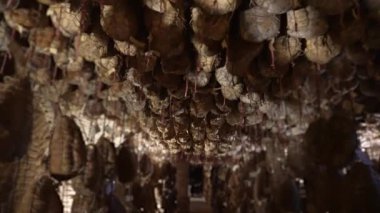 Tavandan sarkan culatello bodrumda yaşlanıyor.