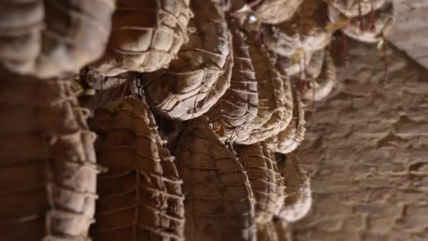 Culatello Zibello Bodrumda Tavandan Sarkan Yaşlarla Bağlı — Stok video