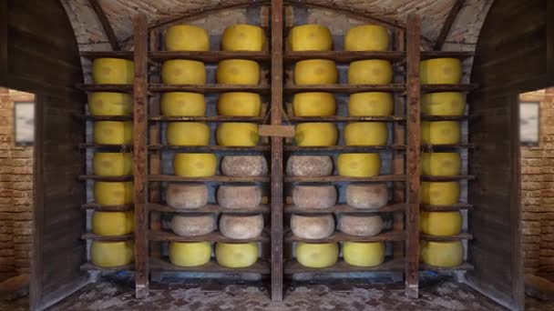 Raflarda Parmesan Peynirli Mandıra — Stok video