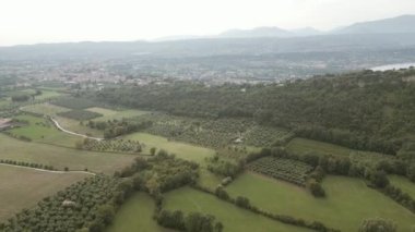 Yeşil tarlaların ve tepelerin doğal manzarası