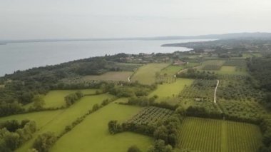 Büyük bir göl yakınında yeşil tarım arazisi