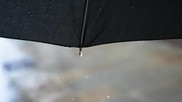 Lluvia Cae Bajo Paraguas Cámara Lenta — Vídeos de Stock