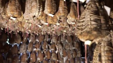 Culatello di Zibello bodrumda iple bağlı.