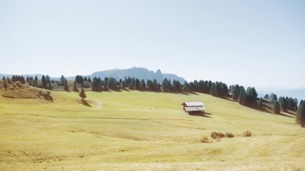 Prato Verde Con Una Casa Legno Tra Foresta Montagna Estiva — Video Stock