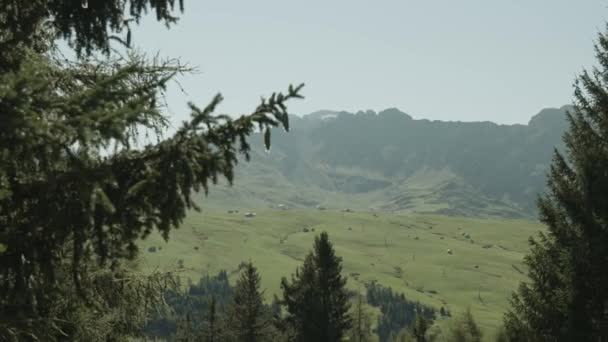 Beautiful Natural Landscape Hills Valley Siusi Alps — Stock Video