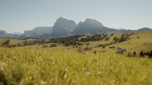 Belle Vue Panoramique Verte Été Vers Vallée Sassolungo Sassopiatto — Video