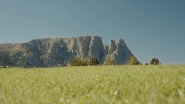 Veduta Una Grande Lunga Montagna Delle Dolomiti Con Prato Con — Video Stock
