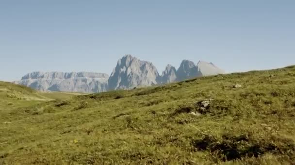 从Siusi阿尔卑斯山上方朝向Sassolungo和Sassopiatto的全景夏景 — 图库视频影像