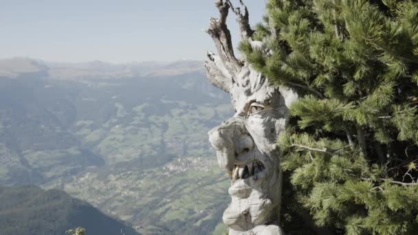 1Er Septembre 2023 Monte Bullaccia Sorcières Visage Sculpté Sur Tronc — Video