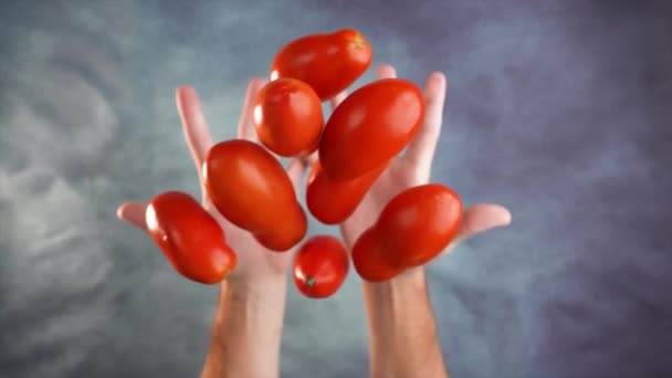 Los Tomates Sabrosos Rojos Son Arrojados Cámara Lenta Las Manos — Vídeo de stock