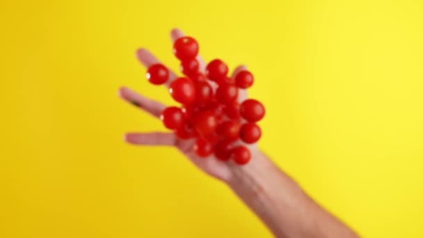 Små Röda Tomater Som Kallas Körsbärstomater Kastas Högt Slow Motion — Stockvideo