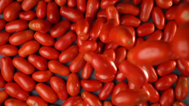 Los Tomates Rojos Sabrosos Caen Cámara Lenta Desde Arriba — Vídeos de Stock