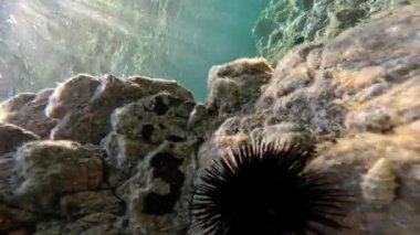 Yaz güneşinin altında denizin altındaki kayalar.