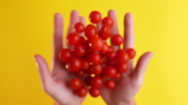 Små Röda Tomater Kastas Upp Med Händerna Slow Motion Gul — Stockvideo