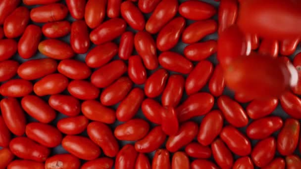 Pomodori Cadono Dall Alto Rallentatore Altro Mucchio Terra — Video Stock