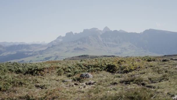 Vista Panorámica Del Parque Natural Italiano Los Alpes Siusi — Vídeo de stock