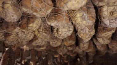Domuz bacağı gibi. Yaşlanma evresindeki culatello karanlıkta asılı duruyor.