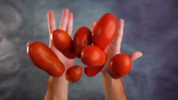 Slow Motion Throwing Tomatoes Studio — Stock Video